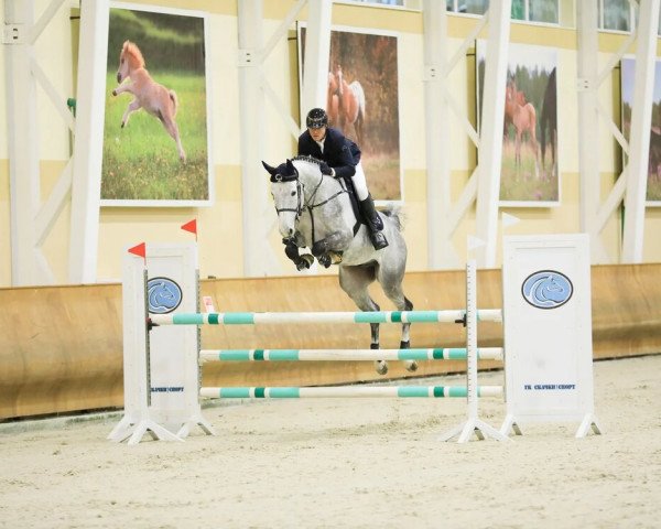 Springpferd Zack (Estonian Sportpferd, 2013, von Zacharov Tn)