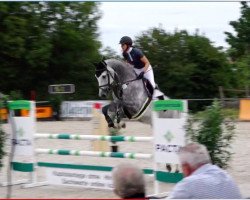 jumper Colambo 24 (Oldenburg show jumper, 2014, from Cordess 2)