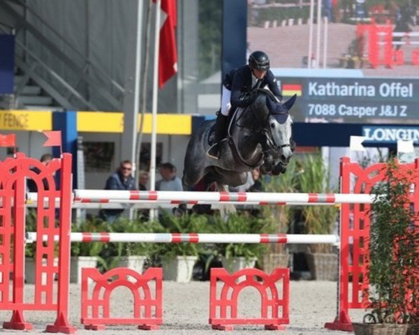 jumper Casper J&j Z (Zangersheide riding horse, 2010, from Cicero Z van Paemel)