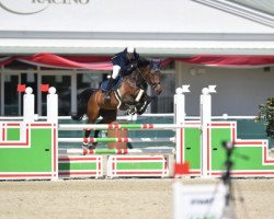 jumper Eddy E (Hanoverian, 2008, from Escudo I)