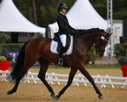 stallion Escolador Lth Dressvalue (Oldenburg, 2015, from Escolar)