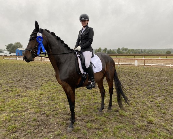 Dressurpferd Dinara P (Deutsches Sportpferd, 2015, von Diego de Semilly)