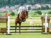 jumper Santje (Hanoverian, 2005, from Stolzenberg)