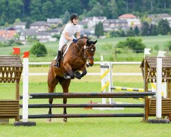 jumper Santje (Hanoverian, 2005, from Stolzenberg)