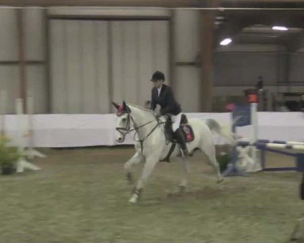 Hallenspringturnier Barlo Bocholt 2015