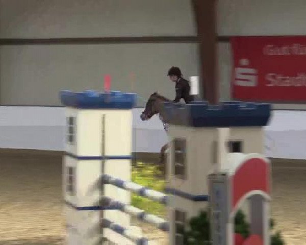 Hallenspringturnier Barlo Bocholt 2015