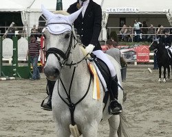 jumper Centaro 2 (Oldenburg show jumper, 2003, from Centesimo I)