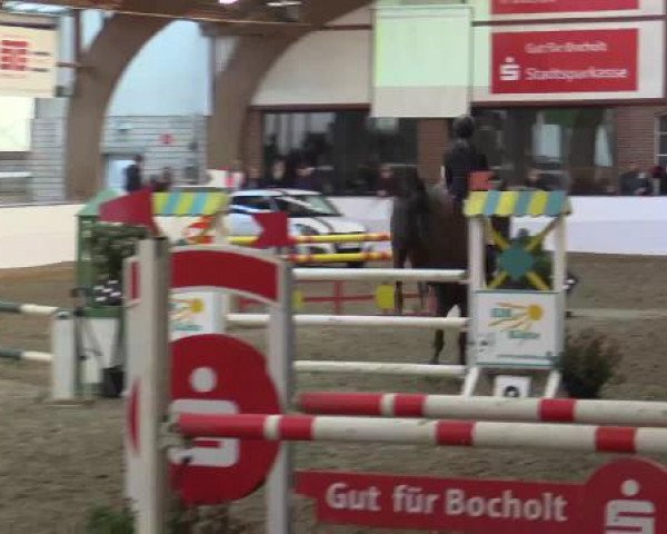 Hallenspringturnier Barlo Bocholt 2015