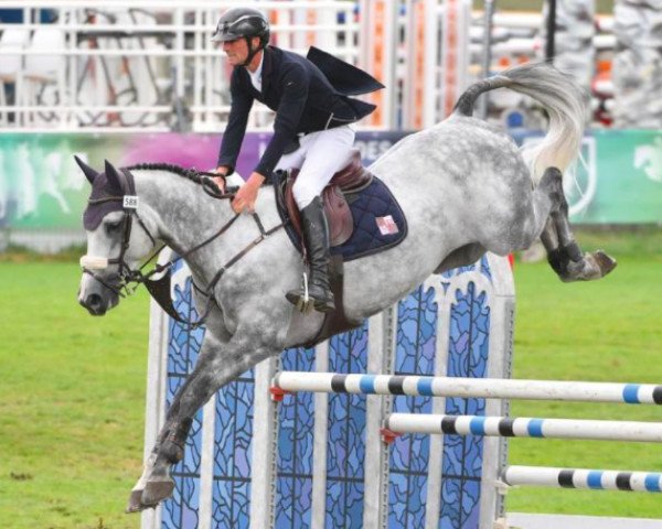 stallion Erios de Caryan (Selle Français, 2014, from Nabab de Rêve)