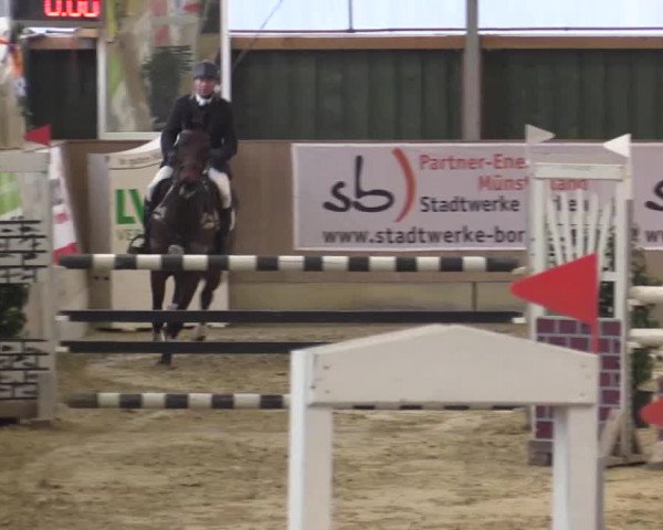 Hallenturnier Velen 2015