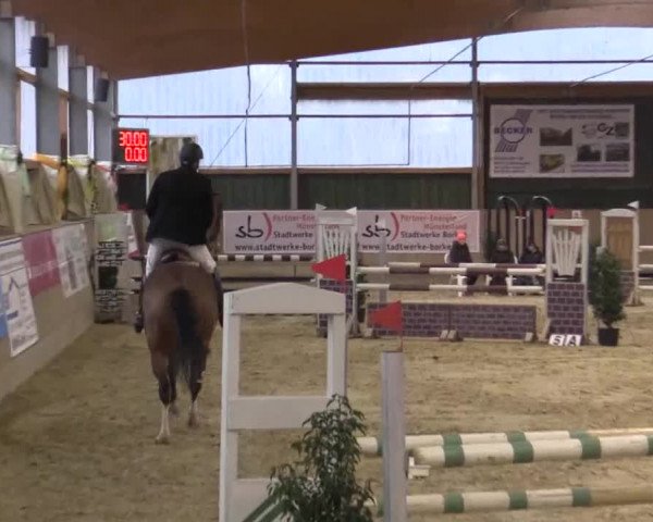 Hallenturnier Velen 2015