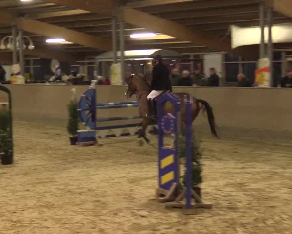 Hallenturnier Velen 2015