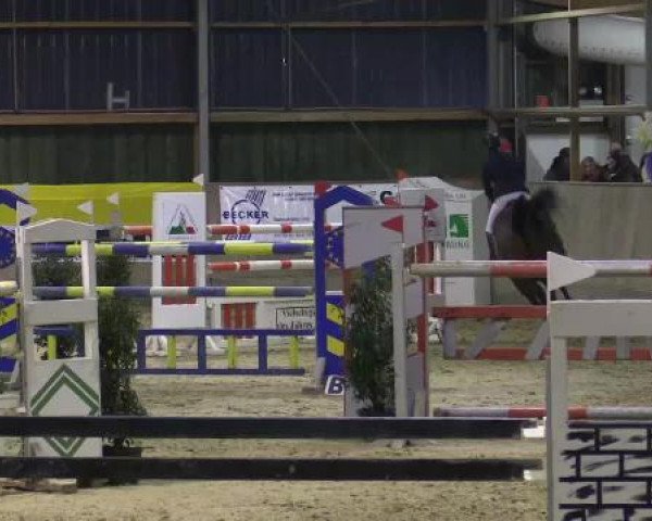 Hallenturnier Velen 2015