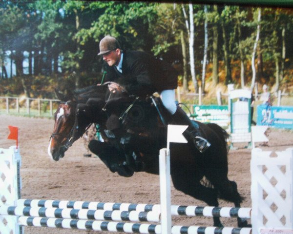 stallion Landfürst F (Mecklenburg, 1994, from Lacros)