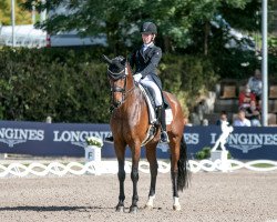 dressage horse Eskamino K (Hanoverian, 2011, from Estobar NRW)