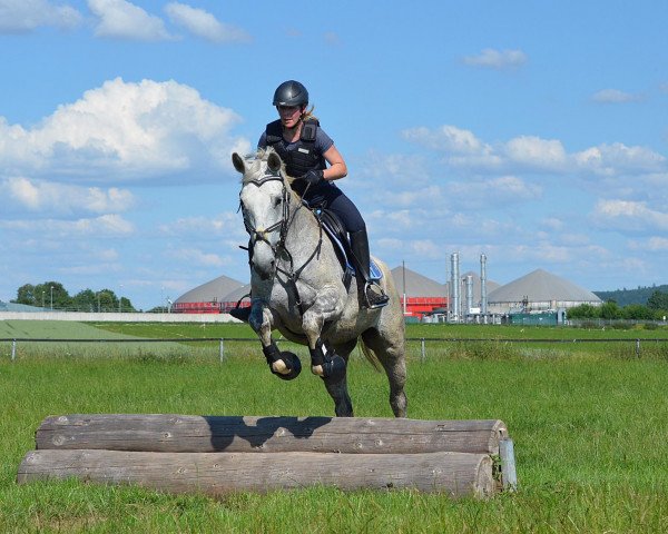 dressage horse Eva S (Hanoverian, 2009, from Espri)