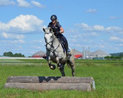 dressage horse Eva S (Hannoveraner, 2009, from Espri)