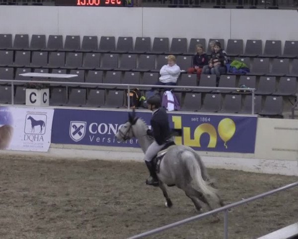 VER-Dinale 2015