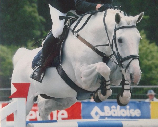 broodmare Grete (Hanoverian, 1997, from Graf Sponeck)