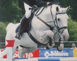 broodmare Grete (Hanoverian, 1997, from Graf Sponeck)