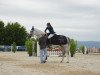 horse Bonfire III (Belgian Warmblood, 2001, from Olympic Ramiro)