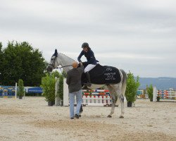 Pferd Bonfire III (Belgisches Warmblut, 2001, von Olympic Ramiro)