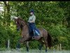 broodmare Herzchen 10 (German Riding Pony, 2005, from Halenkino)