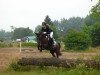 jumper Neverlands Mike (German Riding Pony, 2009, from Noir de Luxe)