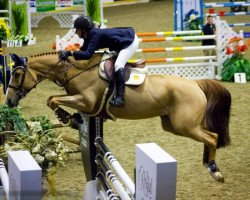 broodmare Naiade de Kergane (Selle Français, 2001, from Caloubet du Rouet)