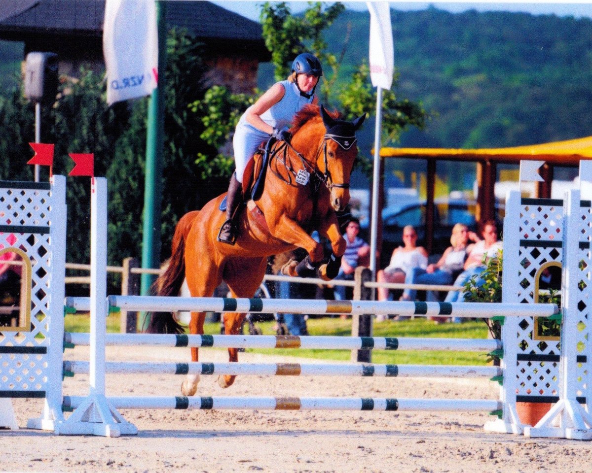 jumper Quick Magic (Oldenburg, 2004, from Quattro B)