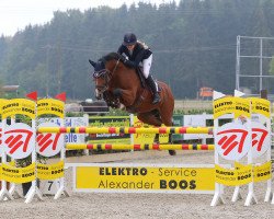 jumper Chica De La Luna (Bayer, 2008, from Camparino)