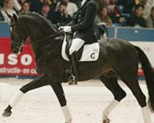 stallion Redford (KWPN (Royal Dutch Sporthorse), 1998, from Krack C)