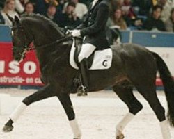 Deckhengst Redford (KWPN (Niederländisches Warmblut), 1998, von Krack C)