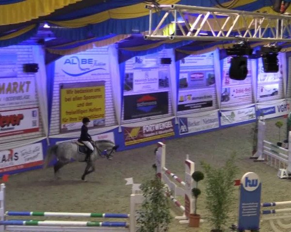 Spring-Pferde-Festival Lathen 2015