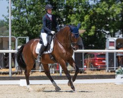 dressage horse Chalco Utopia (KWPN (Royal Dutch Sporthorse), 2007, from Rhodium)