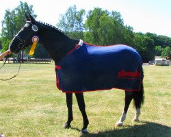 broodmare Heimgritt (Trakehner, 2000, from Houston)