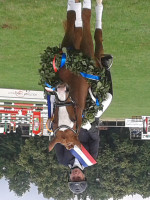 dressage horse Chopard Deluxe (Deutsches Reitpony, 2010, from Casino Royale K WE)