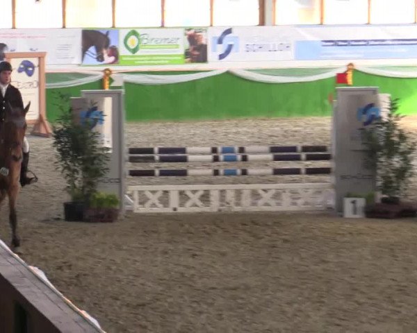 Keppelner Springpferdemeeting 2015