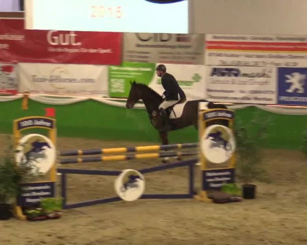 Keppelner Springpferdemeeting 2015