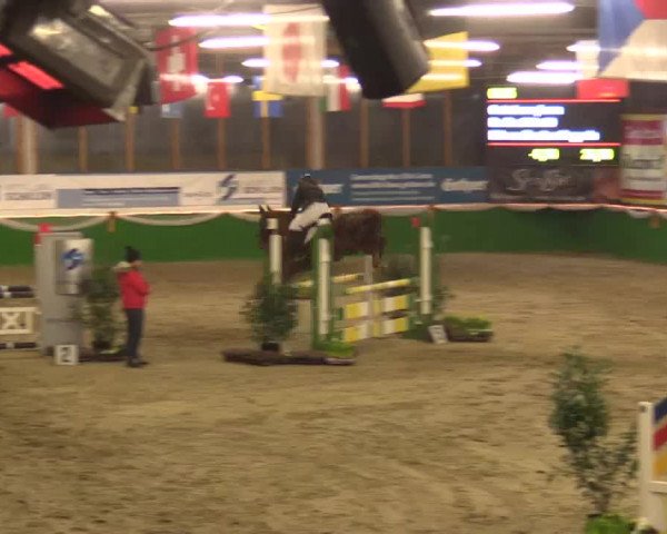 Keppelner Springpferdemeeting 2015
