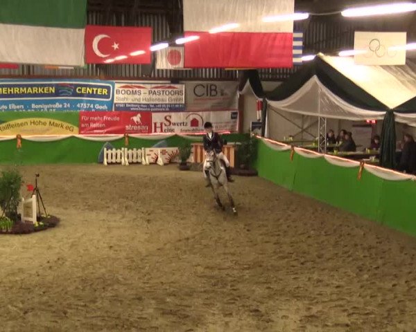 Keppelner Springpferdemeeting 2015