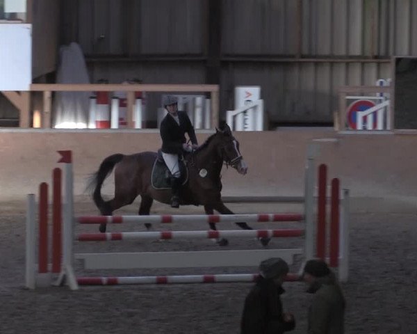 Hallenspringturnier Springe 2015