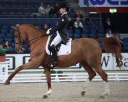 dressage horse Florida 94 (Rheinländer, 1999, from Fidermark)