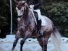 dressage horse Balisto Bw (Hanoverian, 2013, from Callaho's Benicio)