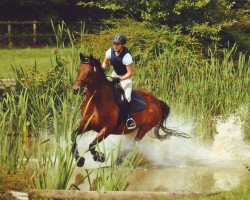 broodmare Francis (Senner horse, 2000, from Rio Grande xx)