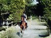 jumper Mr. Xaar xx (Thoroughbred, 2002, from Xaar xx)