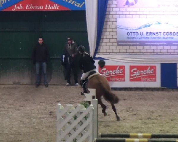 Spring-Pferde-Festival Lathen 2015