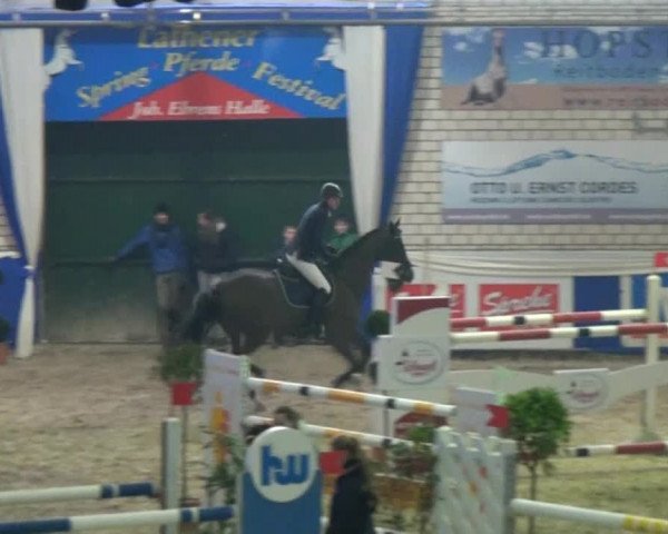 Spring-Pferde-Festival Lathen 2015