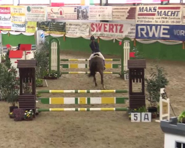 Keppelner Springpferdemeeting 2015