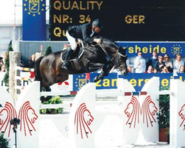 jumper Quality 9 (Holsteiner, 1999, from Quinar)